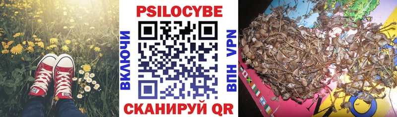 Псилоцибиновые грибы мухоморы  Купить где  Йошкар-Ола 